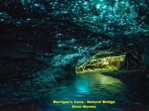 Springbrook - glow worms - natual bridge ...Burrigan - labelled